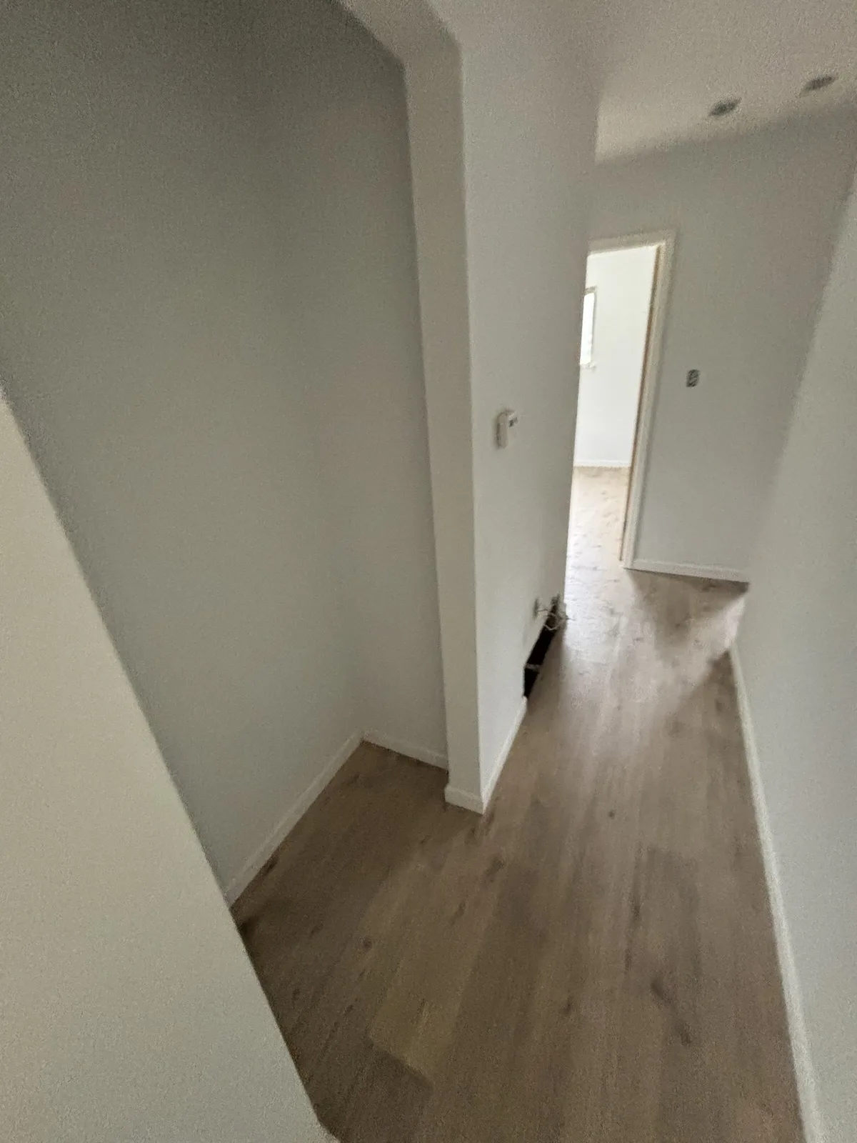 Hallway flooring and painted trim at Canfield, photographed from the doorway